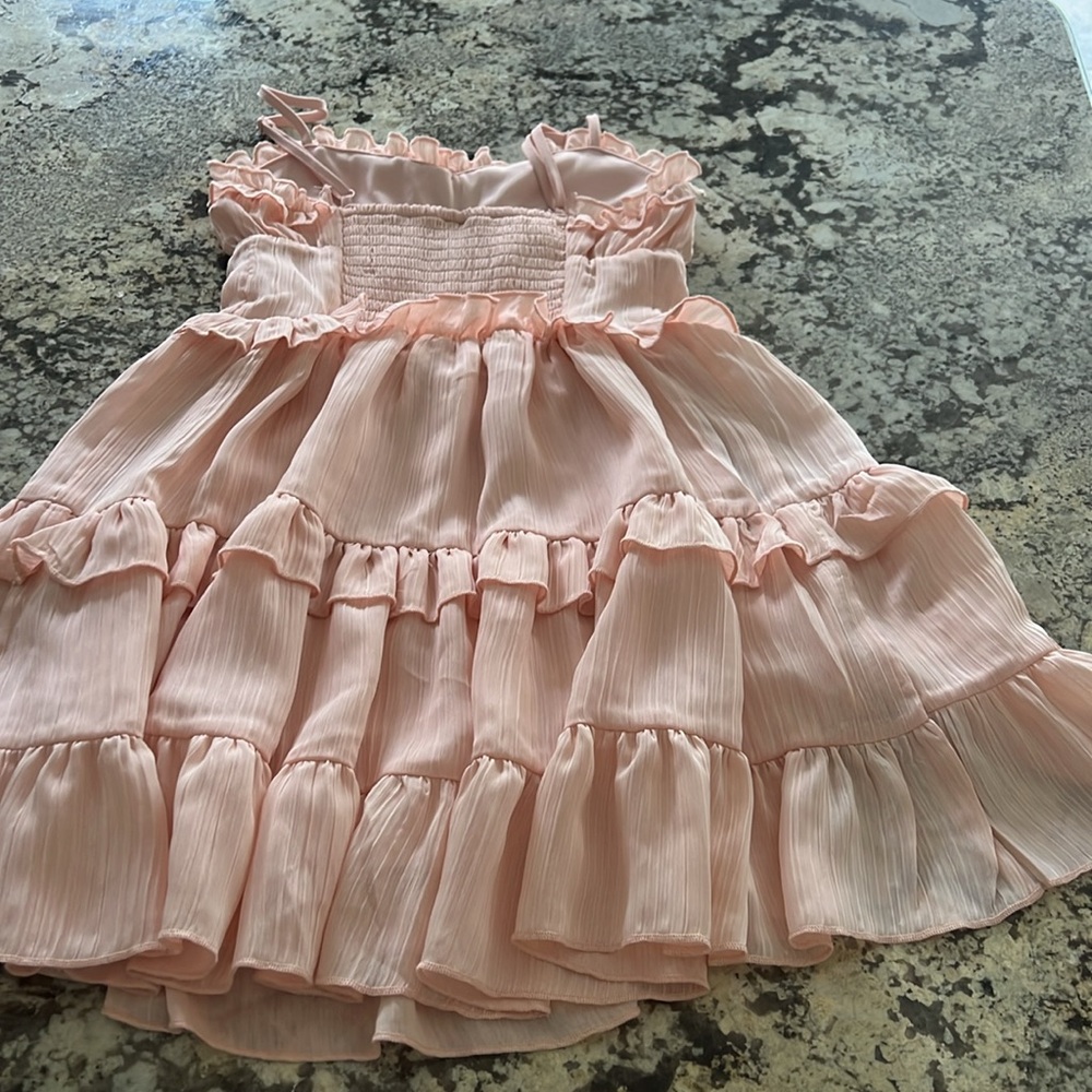 Wild Fable Pink Ruffle Dress - Picture 4 of 4